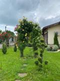 Продава  Къща област Стара Загора , с. Могила , 0 кв.м | 85774778 - изображение [6]