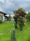 Продава  Къща област Стара Загора , с. Могила , 0 кв.м | 85774778 - изображение [5]