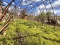 Продава  Къща област Русе , с. Иваново , 162 кв.м | 73665598 - изображение [3]