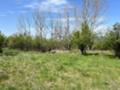 Продава  Парцел област Стара Загора , с. Енина , 1200 кв.м | 57332075 - изображение [5]