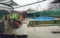 Продава  Къща област Русе , с. Кошов , 185 кв.м | 90920469 - изображение [8]