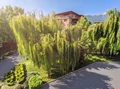 Дава под наем  4-стаен град София , Витоша , 174 кв.м | 82086086 - изображение [12]