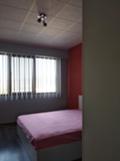 Дава под наем  2-стаен област Пазарджик , гр. Панагюрище , 65 кв.м | 51039962 - изображение [4]