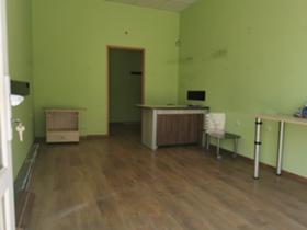 Дава под наем  Магазин, град Пловдив