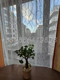 Дава под наем  3-стаен град София , ж.гр.Южен парк , 136 кв.м | 10163695 - изображение [5]